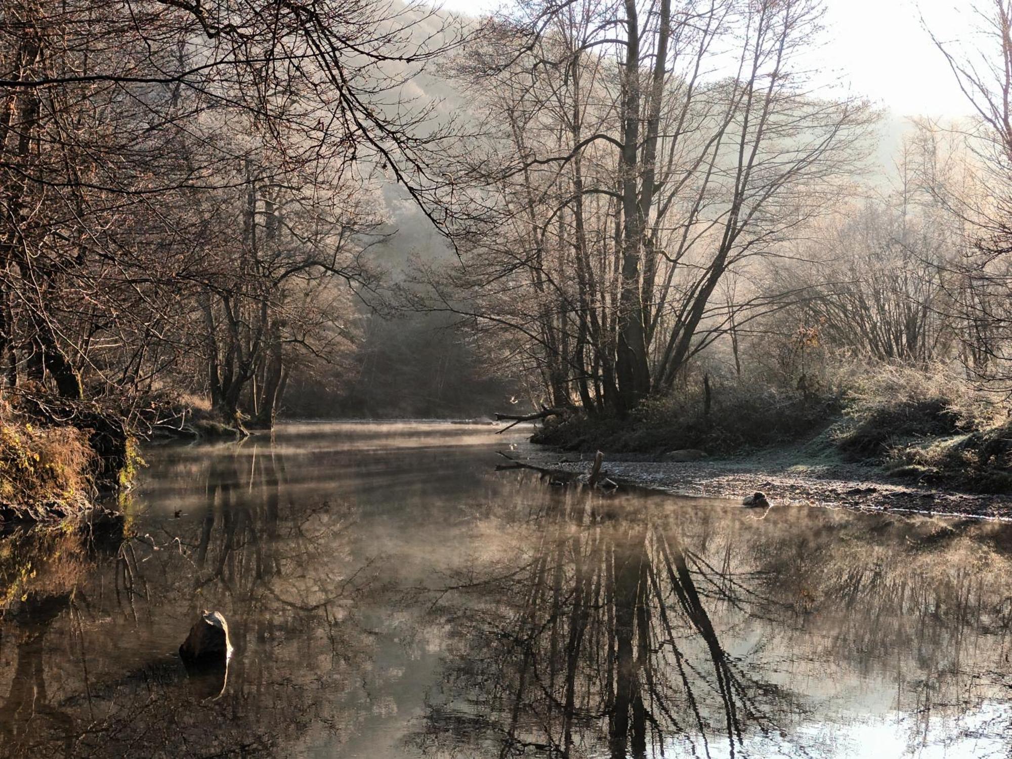 Les Gabelous - Chambre D'Hotes - Viroinval Dourbes Esterno foto